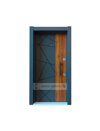 Eco5 Steel Door